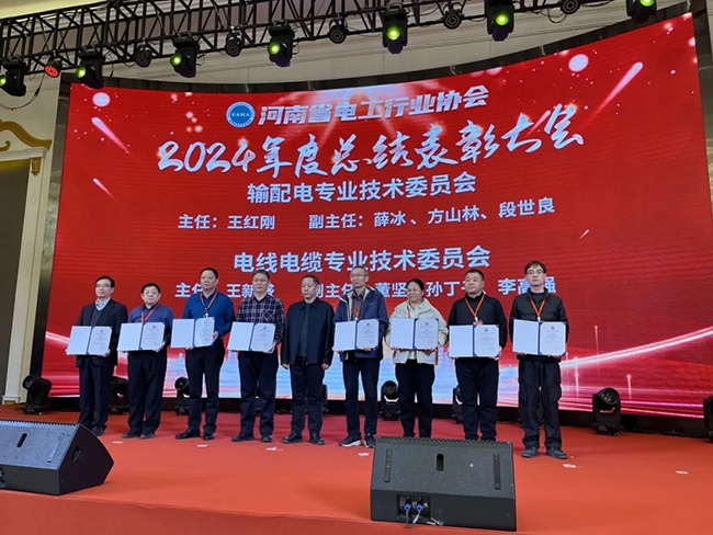 索凌電氣榮獲河南省電工行業(yè)雙優(yōu)稱號， 持續(xù)助力電力行業(yè)發(fā)展